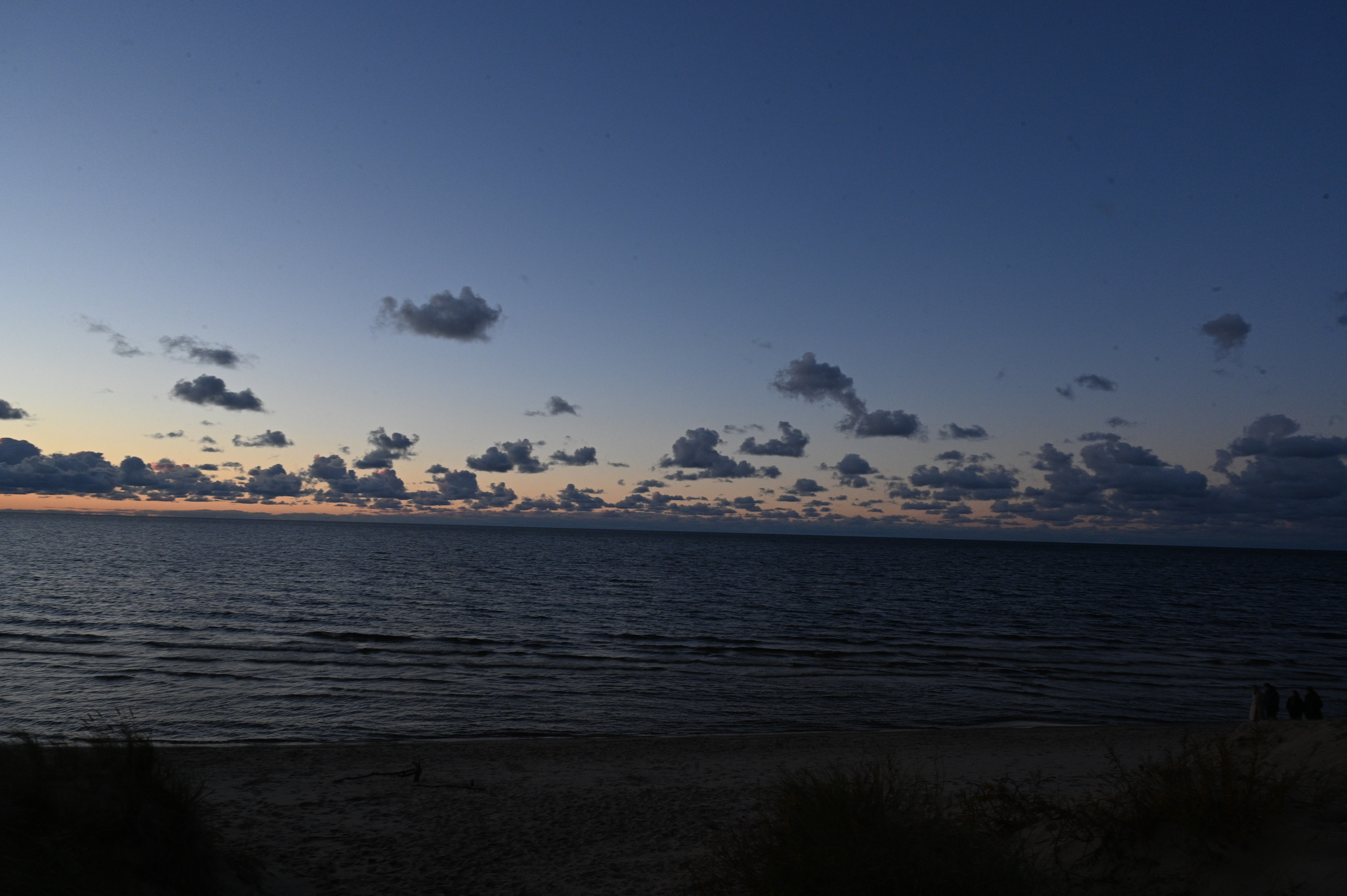 2025/10/18 - walk/DSC_0518.JPG